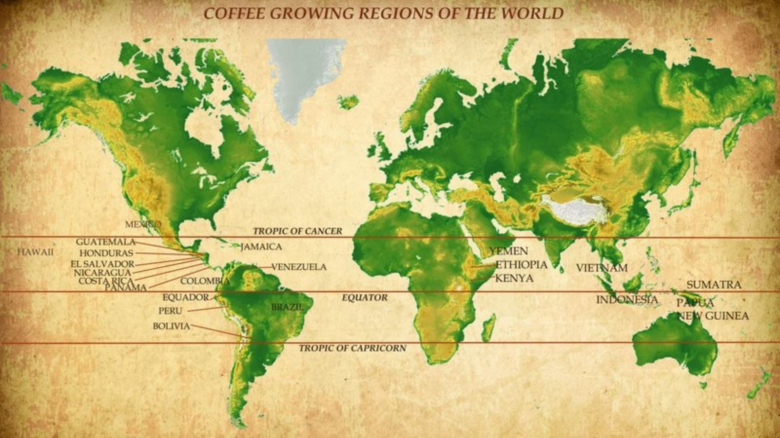 bản đồ cà phê thế giới, vành đai cà phê