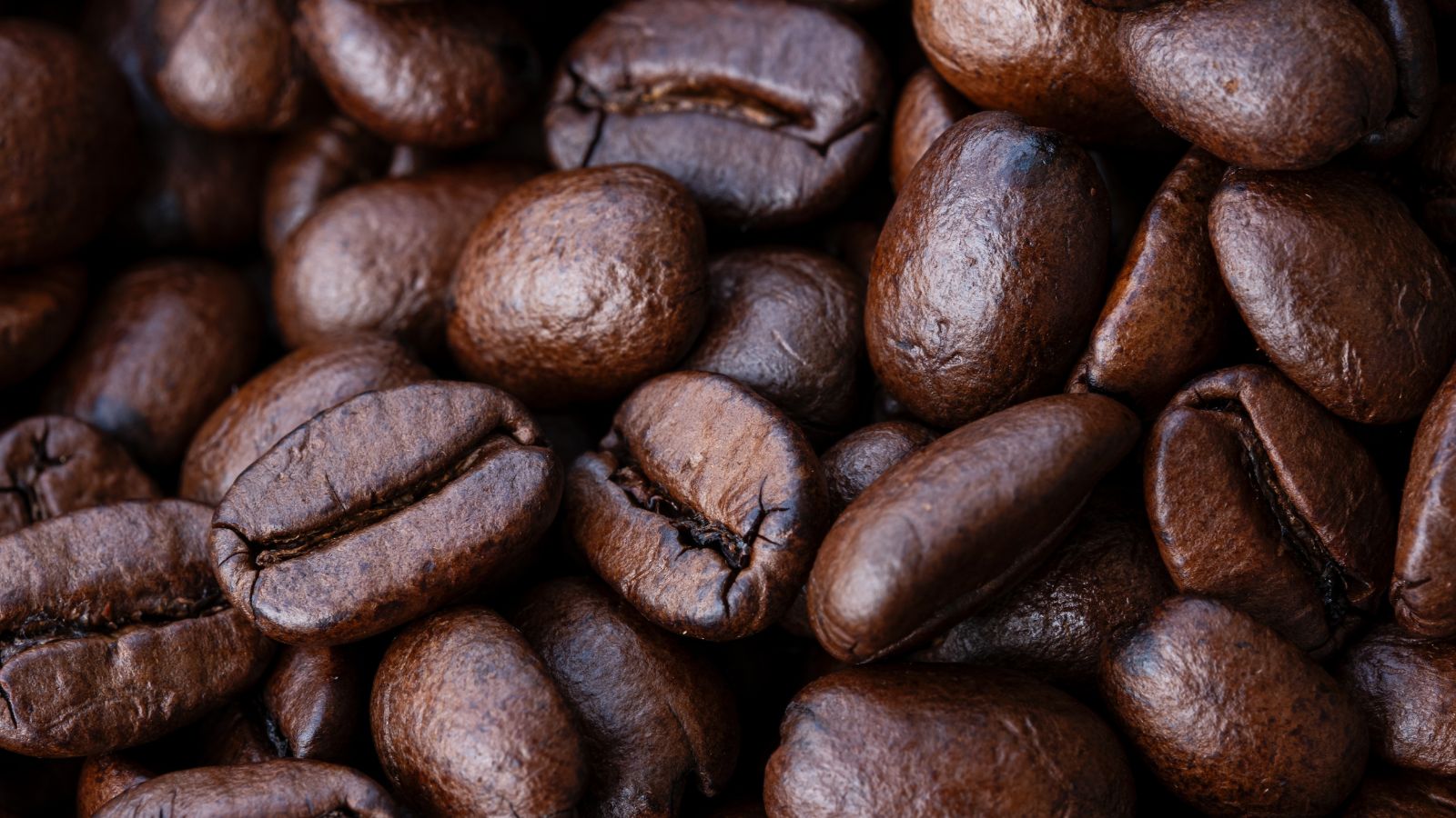 hạt cà phê robusta việt nam, mệnh danh là cafe ngon nhất thế giới, 