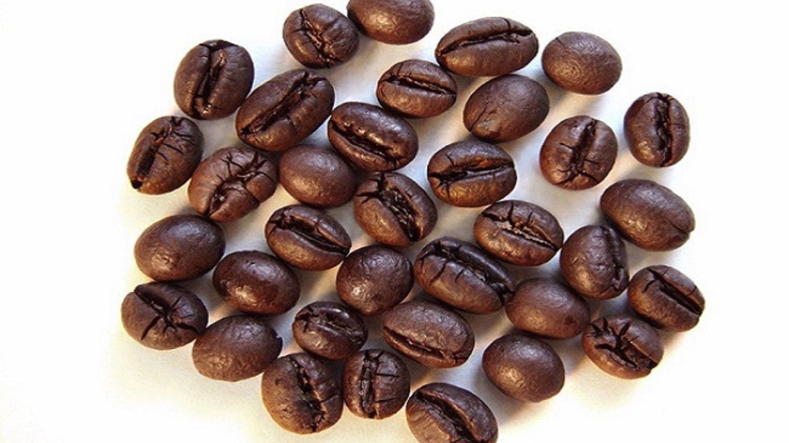 những hạt cà phê culi việt nam