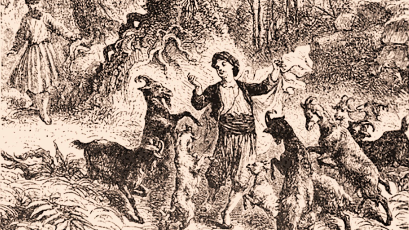 tranh minh hoạ người chăn cừu và đàn dê