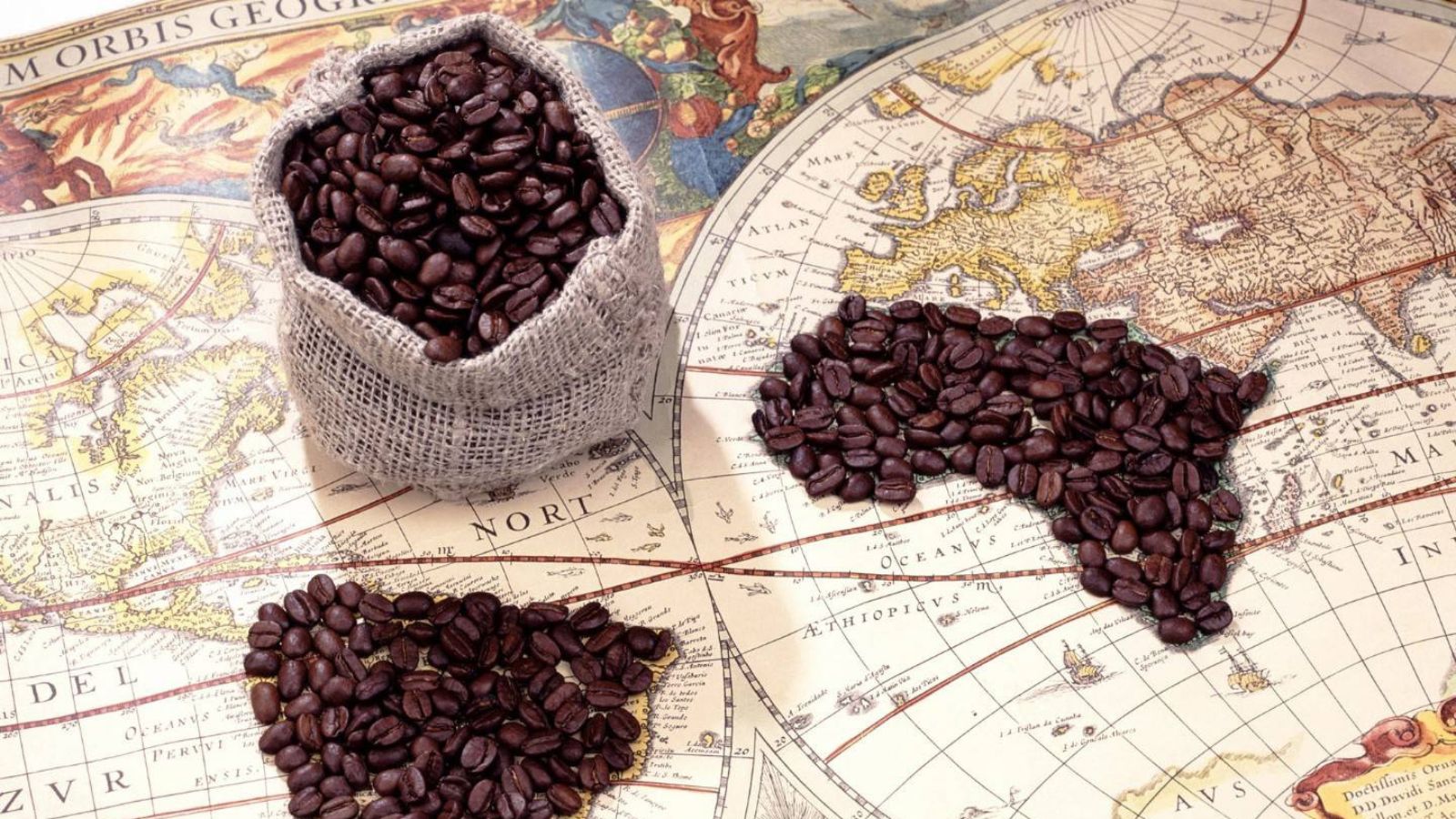 những hạt cà phê trên bản đồ thế giới