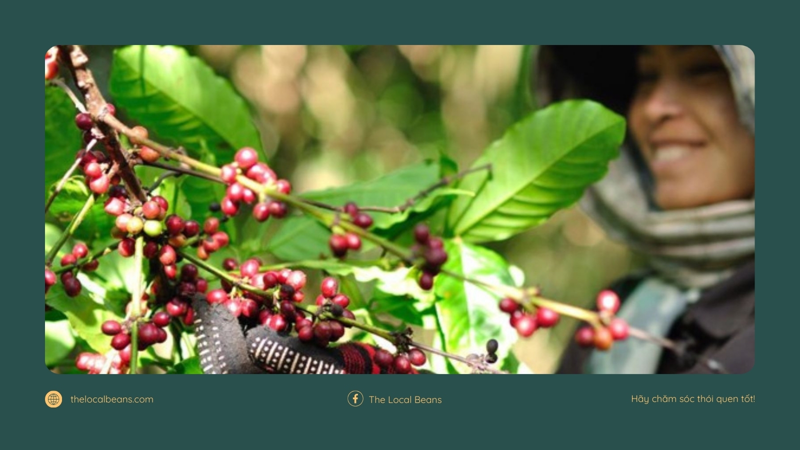 người nông dân và lịch sử hạt cà phê Việt Nam