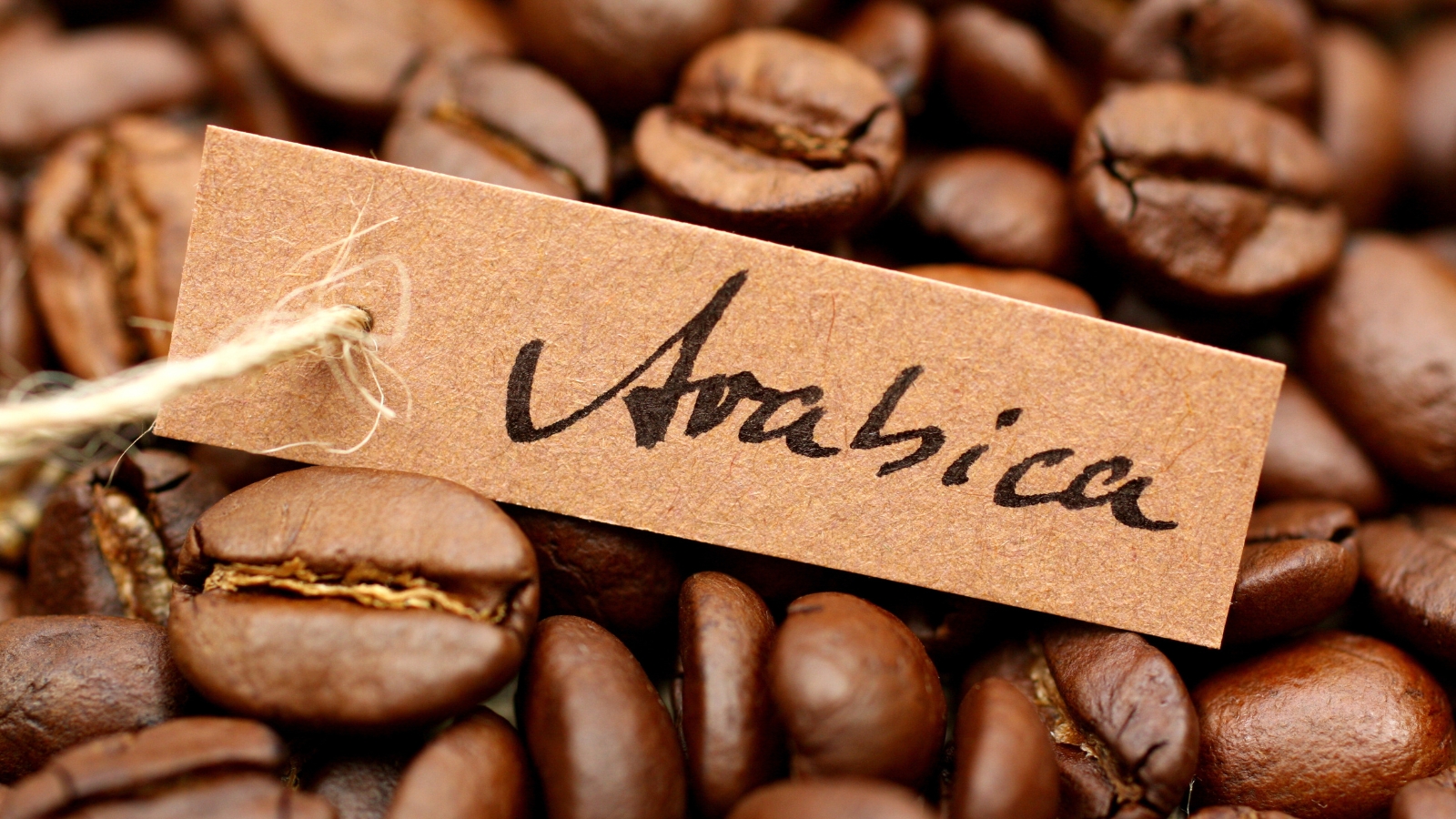 thẻ tên cà phê arabica và các hạt cà phê