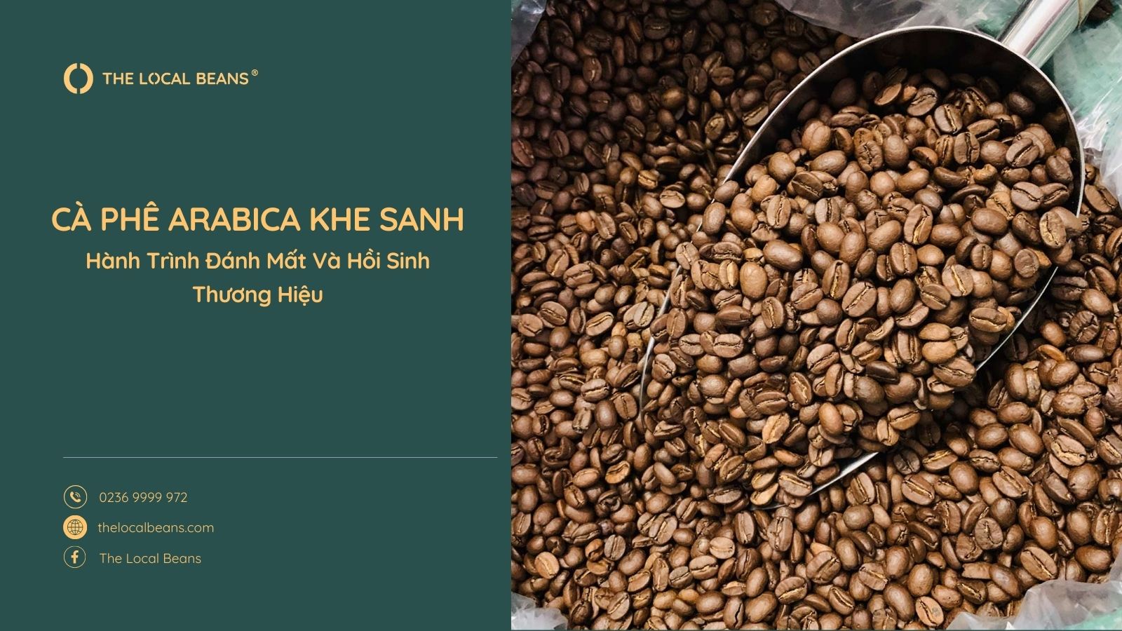Cà phê Arabica Khe Sanh – Hành Trình Đánh Mất Và Hồi Sinh Thương Hiệu