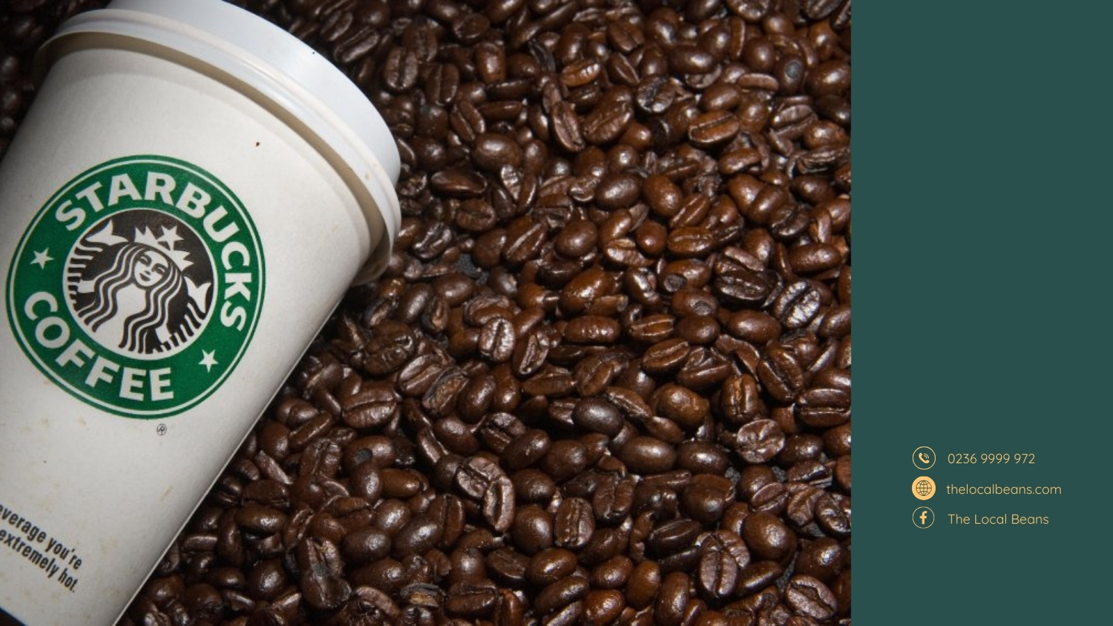 minh hoạ cà phê hạt Starbucks