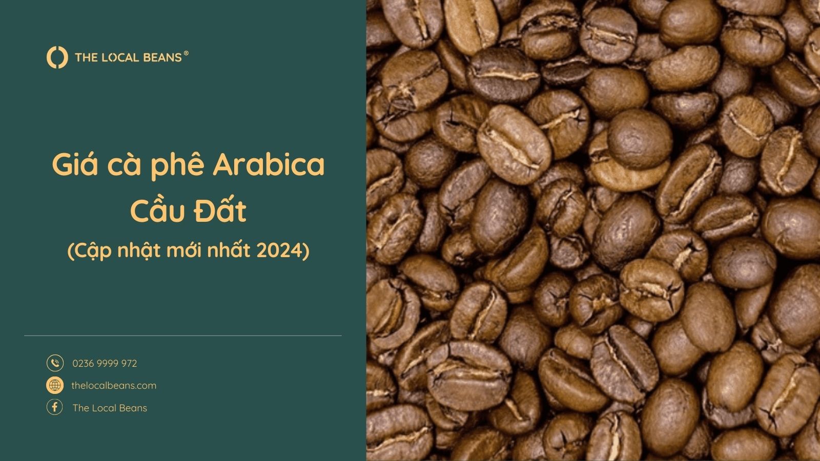 Giá cà phê Arabica Cầu Đất cập nhật mới nhất 2024